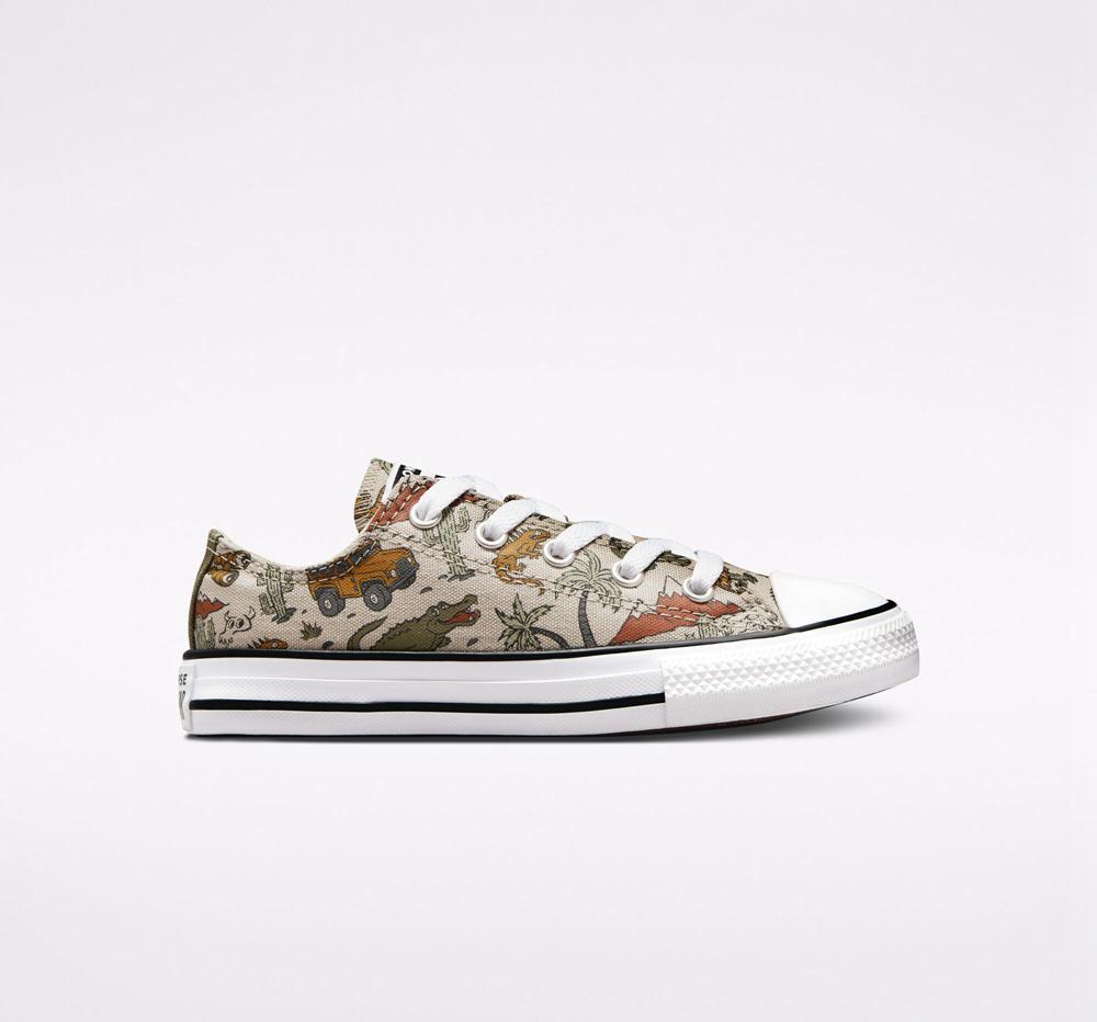 Converse Chuck Taylor All Star Desert Explorer Little Kids Låga Tjej Olika Färger | 619708ZFC