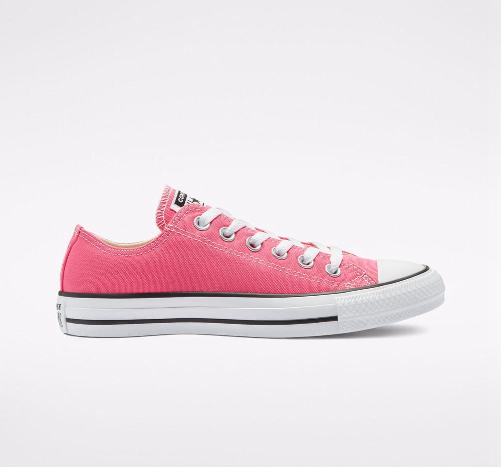 Converse Chuck Taylor All Star Seasonal Color Unisex Låga Dam Rosa | 320568MUR